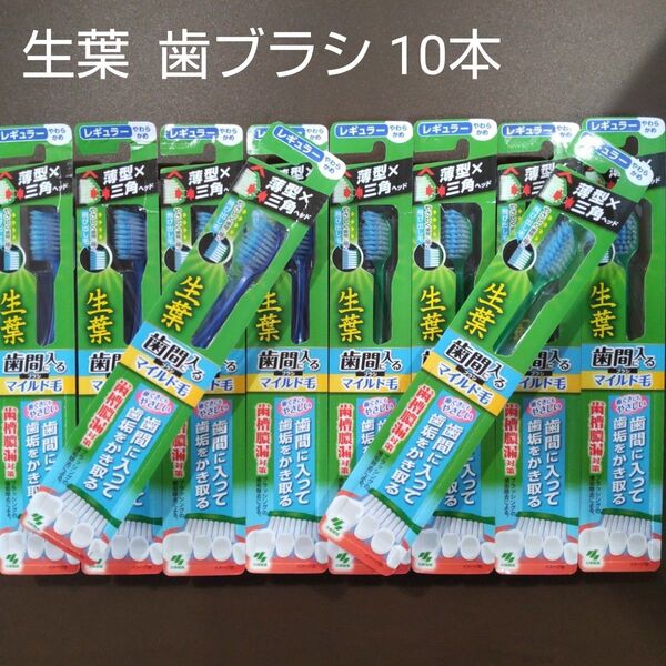 【新品 未開封 10本】 小林製薬 生葉 (しょうよう) 歯ブラシ 歯間に入るブラシ マイルド毛 レギュラーヘッド やわらかめ