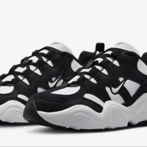NIKE ナイキ テックヘラ ウィメンズ 28cm
