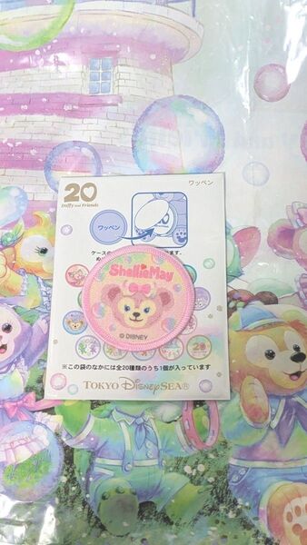 ディズニー ダッフィーフレンズ 20周年 カラフルハピネス シェリーメイ ワッペン