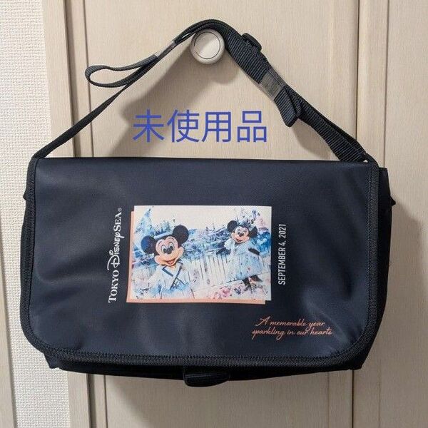*未使用品*ディズニー シー 20周年 グランドフィナーレ カメラバック ショルダーバッグ