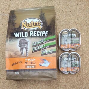 ニュートロワイルドレシピ アダルトサーモン 1kg 猫用
