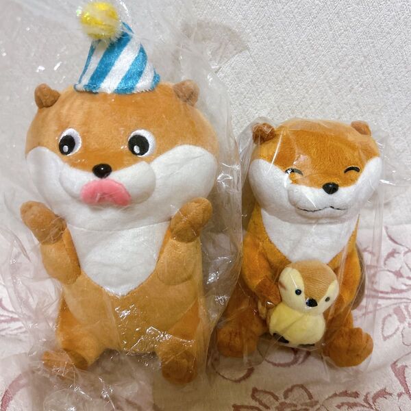 可愛い嘘のカワウソ ぬいぐるみS(カモちゃんといっしょ) Partyだぬ!