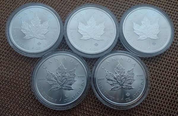 カナダ メイプルリーフ銀貨×5枚 2024年製 1オンス 31.1g 純銀99.99%