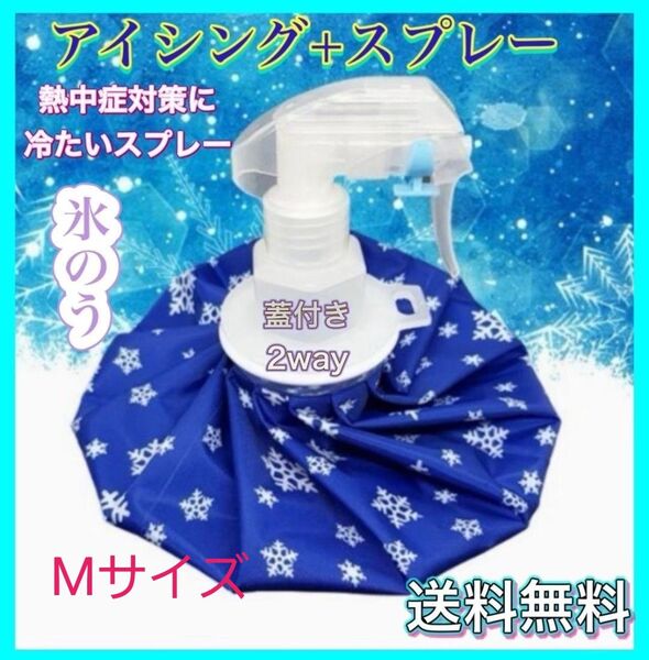 氷のう 熱中症対策 Mサイズ アイスバッグ 氷嚢 スプレー アイシング スポーツ