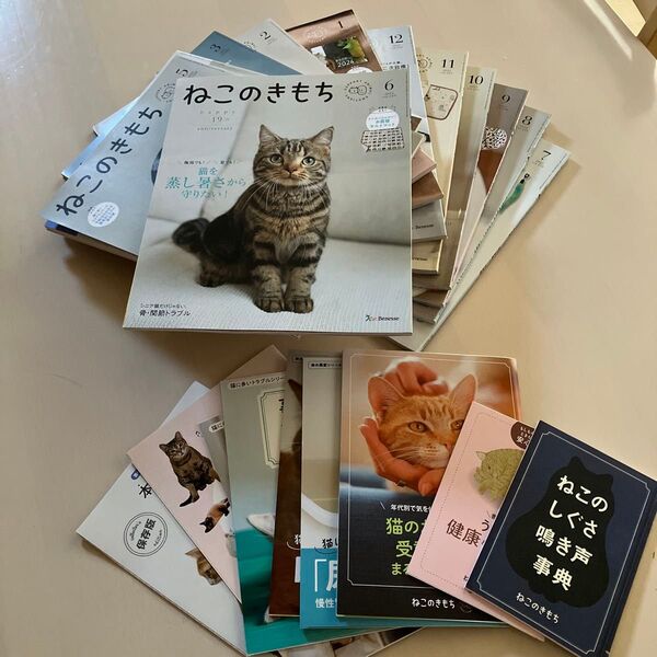ねこのきもち 雑誌 まとめ売り 2023年7月〜2024年6月まで 小冊子付録付き