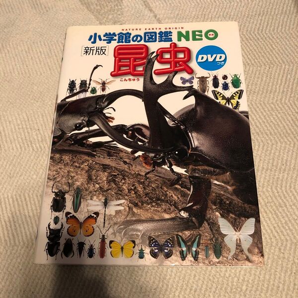 小学館の図鑑NEO 新版 昆虫 DVD無し 絵本 えほん 中古 知育 ずかん 自由研究に