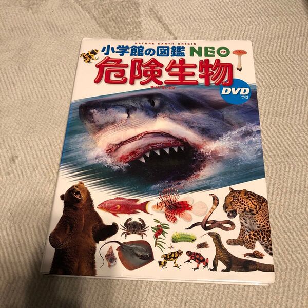 小学館の図鑑NEO 新版 危険生物 DVD無し 絵本 えほん 中古 知育 ずかん 自由研究に 動物