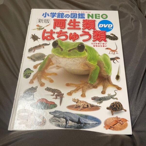 小学館の図鑑NEO 新版 両生類 はちゅう類 カバー無し DVD無し 絵本 えほん 中古 知育 ずかん 自由研究に