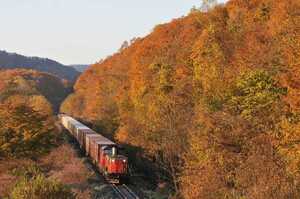 鉄道 デジ 写真 画像 DD51 石北貨物 1