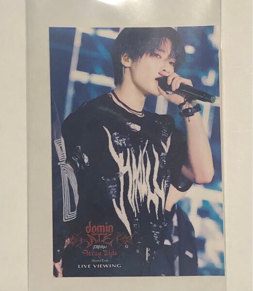 Stray Kids スキズ I.N アイエン ライビュ 入場特典ステッカー 静岡エコパ ライブビューイング シール