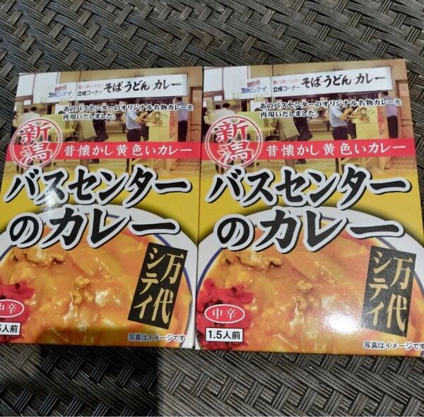 バスセンターのカレー 2箱