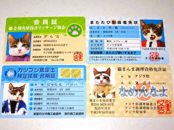 【なめ猫 パロディ ブロマイド 4枚セット①】なめんなよ猫 なめねこ まとめ売り 癒し 癒やし かわいい 可愛い 猫 ネコ