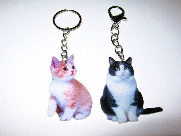 【にゃんこ アクリル キーホルダー 2個】② 猫 ネコ キーリング ストラップ 飾り 猫型 可愛い モダン ペット バッグチャーム