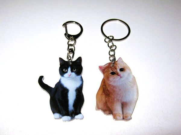 【にゃんこ アクリル キーホルダー 2個】① 猫 ネコ キーリング ストラップ 飾り 猫型 可愛い 動物 アクセサリー インテリア