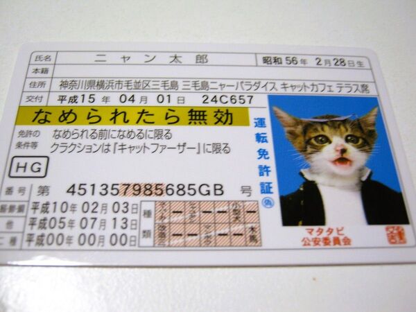 【なめ猫 免許証風 ブロマイド ニャン太郎】なめんなよ猫 なめねこ 金 かわいい 可愛い ネコ 猫 コスプレ トレカ ゴールド免許