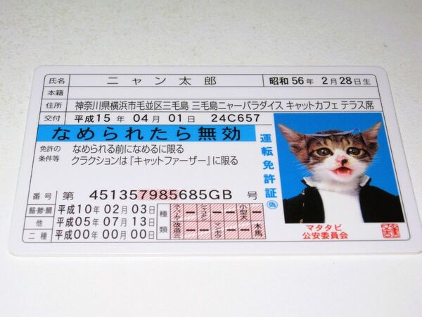 【なめ猫 免許証風 ブロマイド ニャン太郎】なめんなよ猫 なめねこ 癒やし 癒し系 猫 ネコ かわいい 可愛い トレカ コスプレ