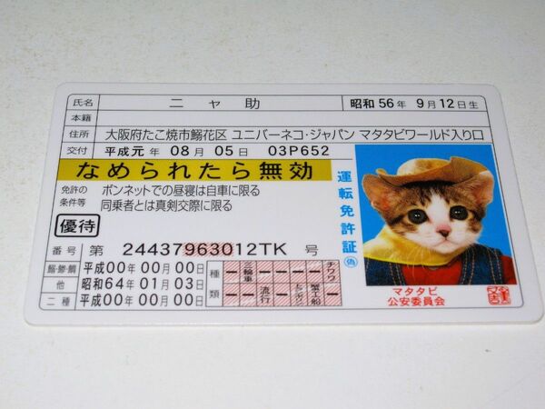 パロディ免許証【なめ猫 ブロマイド ニャ助】なめんなよ猫 なめねこ 癒し 癒やし 金 かわいい 可愛い ネコ トレカ 癒し系 猫