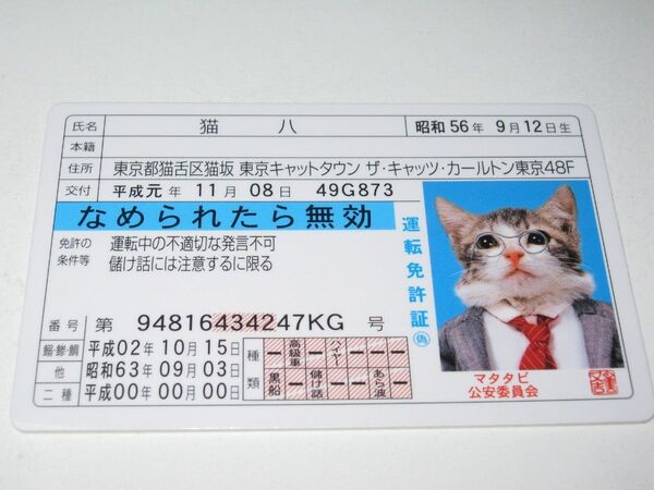 【なめ猫 免許証風 ブロマイド 猫八】なめんなよ猫 なめねこ 癒し 癒やし ネコ かわいい 可愛い 猫 キャラクター コスプレ