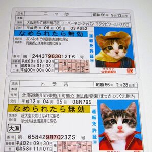 かわいい!【なめ猫 免許証風 ブロマイド 2枚 】なめんなよ猫 なめねこ 癒やし 猫 可愛い ネコ キャラクター コスプレ 金 青