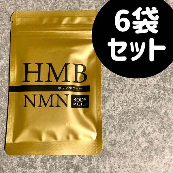 ボディマスター ボディーマスター HMB NMN 6袋セット
