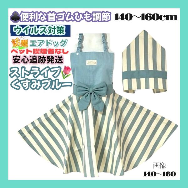 ストライプ くすみブルー 首ゴム紐調節 子供 キッズ エプロン140-160 三角巾セット ハンドメイド ニュアンスカラー
