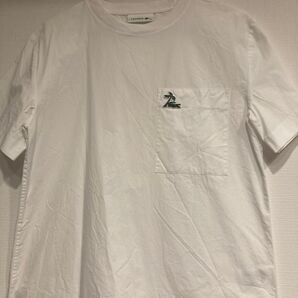 LACOSTE Tシャツ ホワイト 刺繍