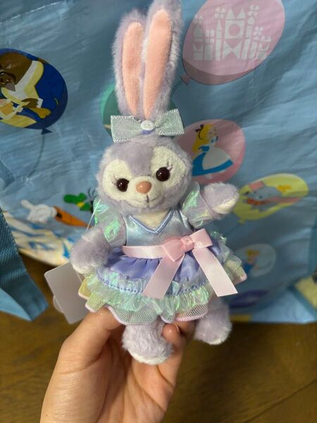 値下げ不可 ディズニーシー ダッフィ&フレンズ20thカラフルハピネス ぬいば