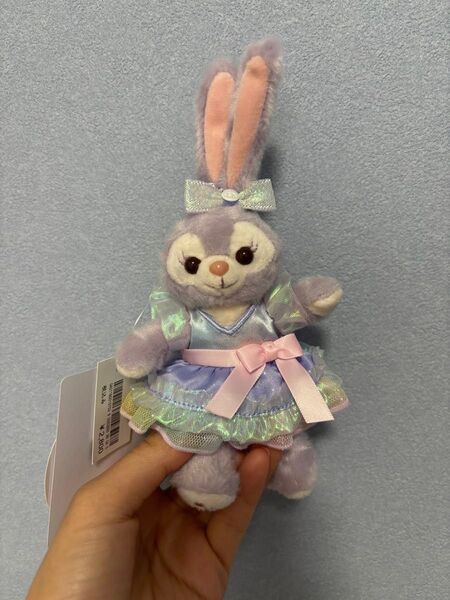 値下げ不可 ディズニーシー ダッフィ&フレンズ20thカラフルハピネス ぬいば