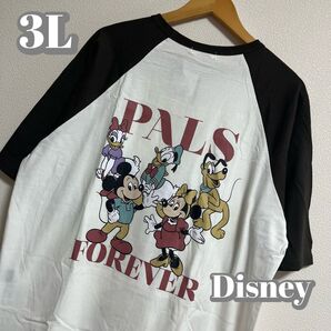 【大きいサイズ】Disney フレンズラグランTシャツ レディース3L