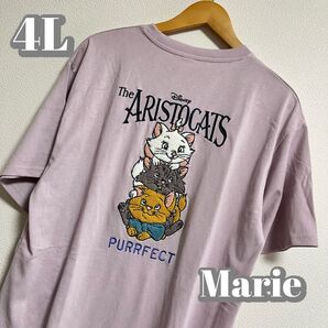【大きいサイズ】おしゃれキャットマリーちゃんサガラTシャツ ピンク 4L