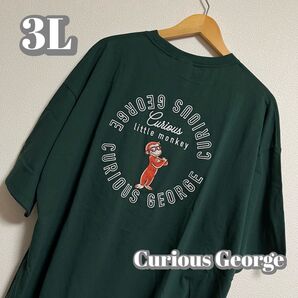 【大きいサイズ】おさるのジョージ サークル刺繍Tシャツ グリーン レディース3L