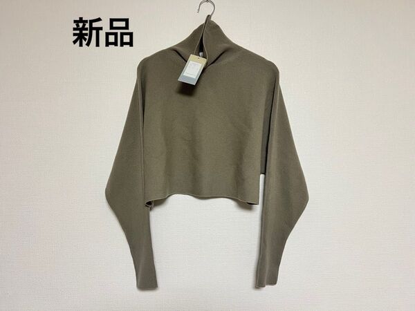 amber 22AW ハイネックショートニット 1 ベージュ