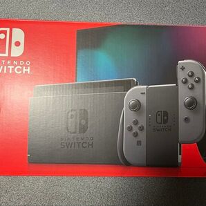 Nintendo Switch グレー 数回使用 動作確認済