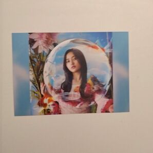 乃木坂46 ポストカード 井上和 チートデイ 特典