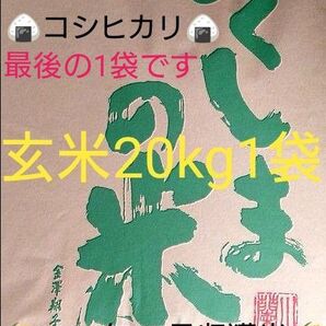 令和6年 福島県産コシヒカリ 一等米 玄米20kg 1袋【最終特価/現品限りのラスト米!】