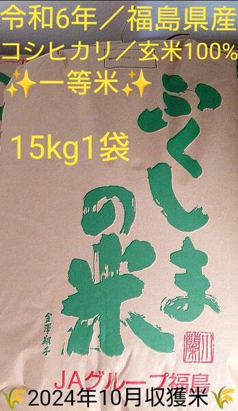 令和6年 福島県産コシヒカリ 一等米 玄米15kg 1袋【最終特価/現品限り!】