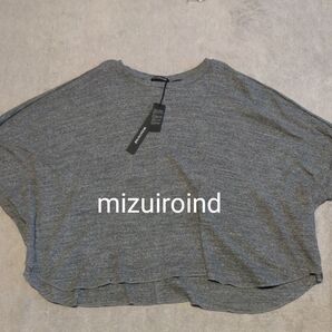 ミズイロイド