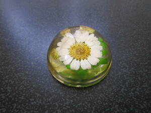  pressed flower magnet 
