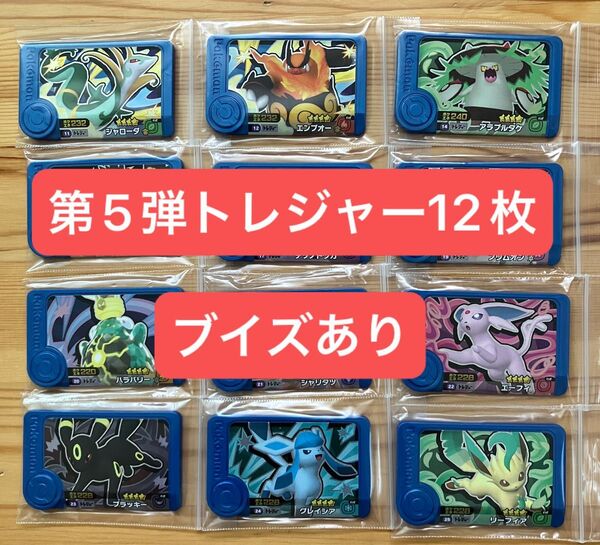 ポケモンフレンダ第5弾 トレジャー12枚セット