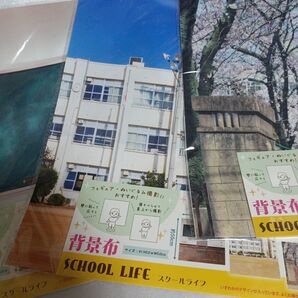背景布 スクールライフ ぬいコスシリーズ セリア