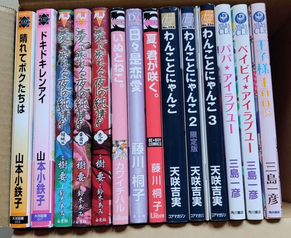BLコミック まとめ売り ③ 14冊+小冊子1 山本小鉄子 樹要 三島一彦 天咲吉実 藤川桐子 カワイチハル
