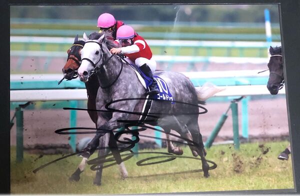 競馬 ゴールドシップ 2013宝塚記念 内田騎手直筆サイン入り A4写真