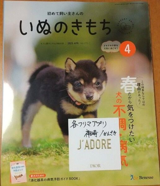 【抜けあり1冊売】初めて飼い主さんのいぬのきもち 2025年4月号 ベネッセ Benesse