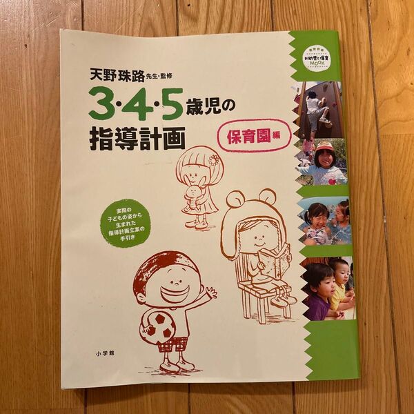 3・4・5歳児の指導計画 保育園編 (教育技術 新幼児と保育MOOK) 天野珠路/監修