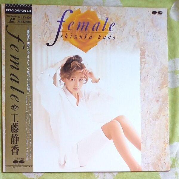工藤静香/female レーザーディスク LD
