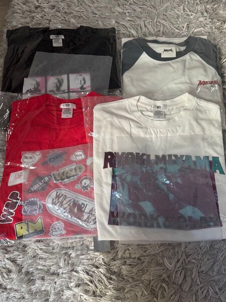 三山凌輝博覧会Tシャツ、ロンT