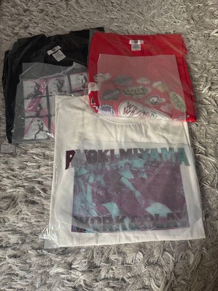 三山凌輝博覧会Tシャツ、ロンT