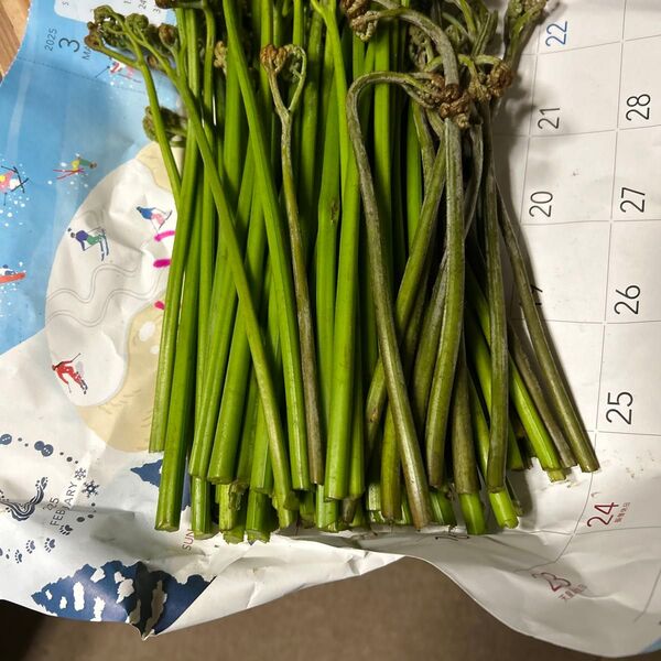 青森産天然蕨700グラムあります。よろしくお願いします。