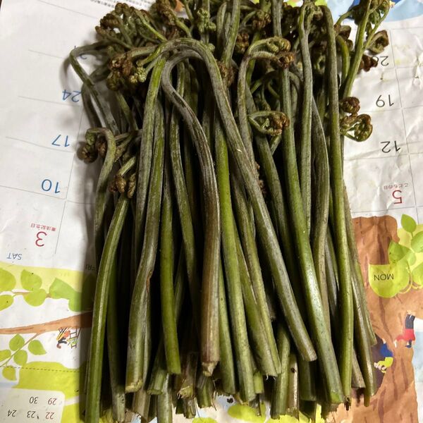 青森産天然わらび今とれたて700グラムあります。よろしくお願いします。
