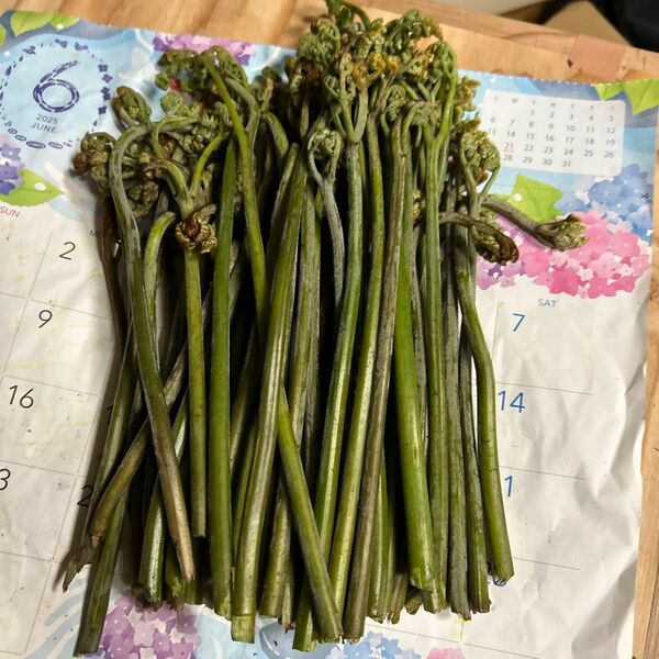 青森産天然わらび夕方取り立て700グラムあります。よろしくお願いします。
